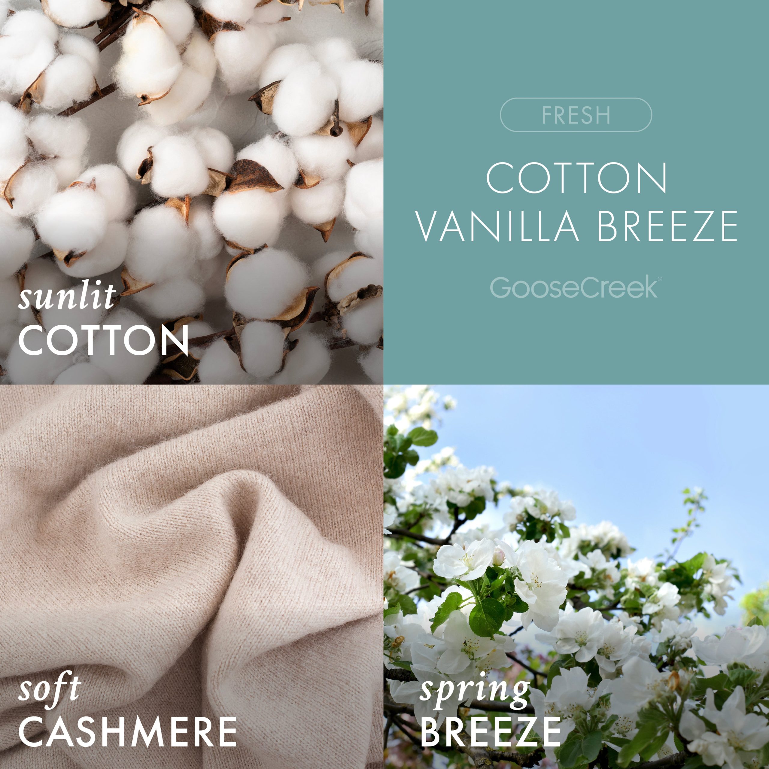 Cotton Vanilla Breeze Odor Eliminating 3-Wick Candle - Image 2